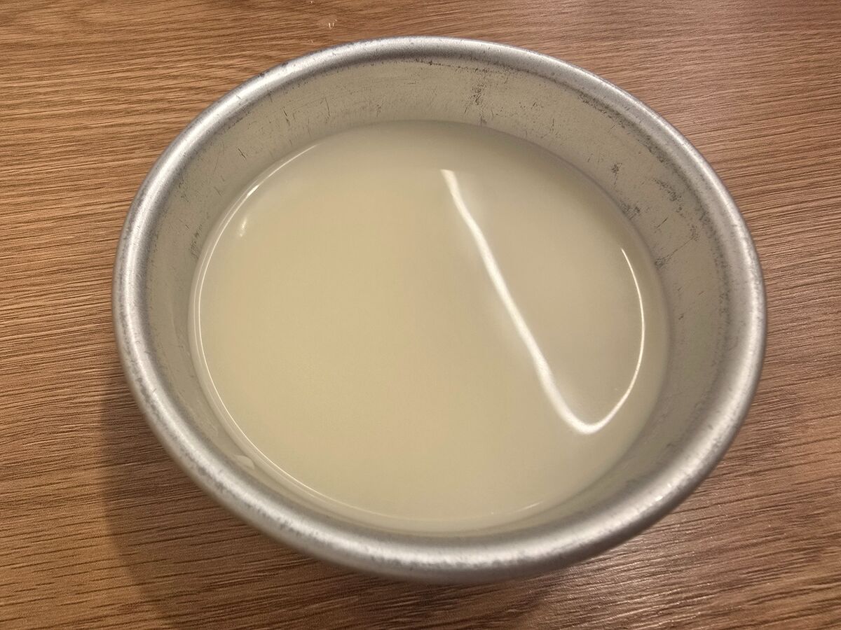 광장시장 순희네빈대떡 food